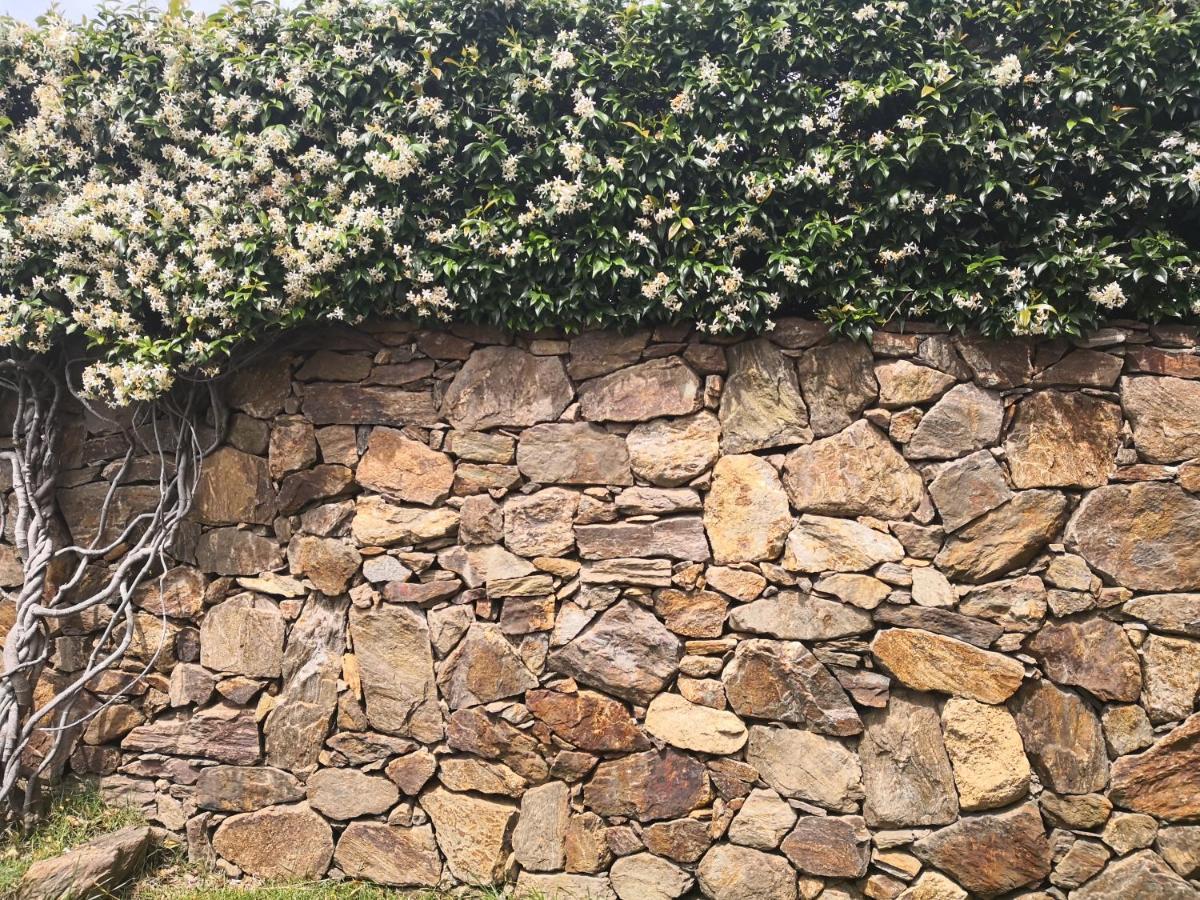 A Lu Ponti Bed & Breakfast Budoni Exterior photo